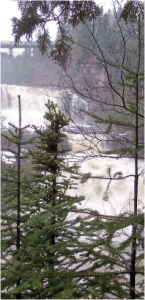 Gooseberry Falls