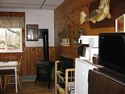 Dining area, wood stove fireplace with microwave and fridge