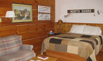 Temperance River Room bedside view