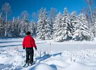 Snowshoeing in the North Shore woods