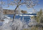 Winter view of Split Rock Lighthouse through frozen trees