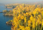 Forest colors in Autumn on the North Shore